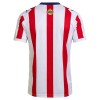 Fotbollskläder Chivas de CD Guadalajara 120th Årsdag 2025-26 - Kortärmad