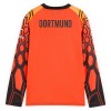 Fotbollskläder Målvakt Borussia Dortmund Hemmatröja 2026-27 Orange - Långärmad